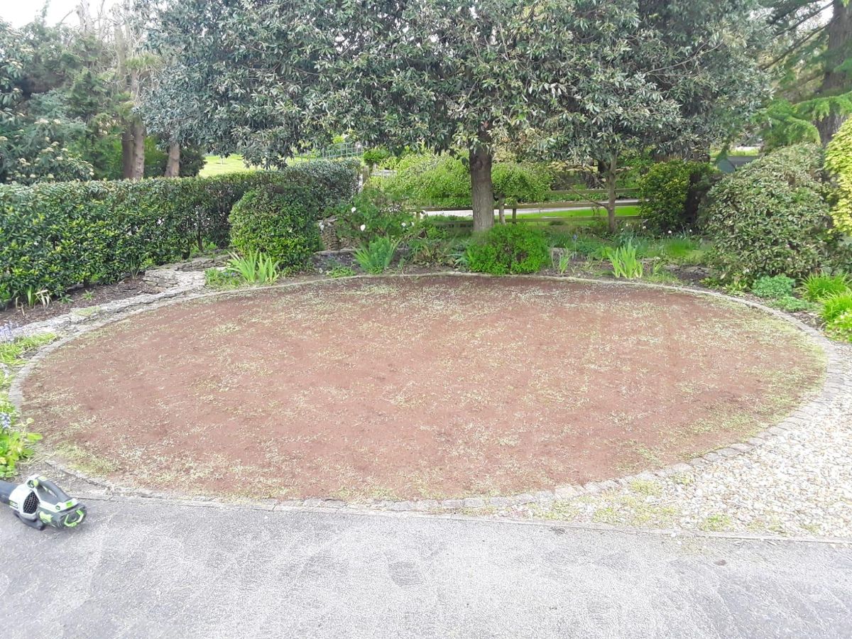 Circular feature lawn, Chipping Campden - before
