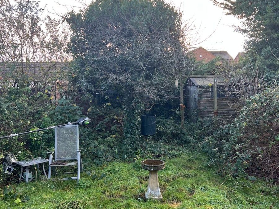 Overgrown garden clearance - before