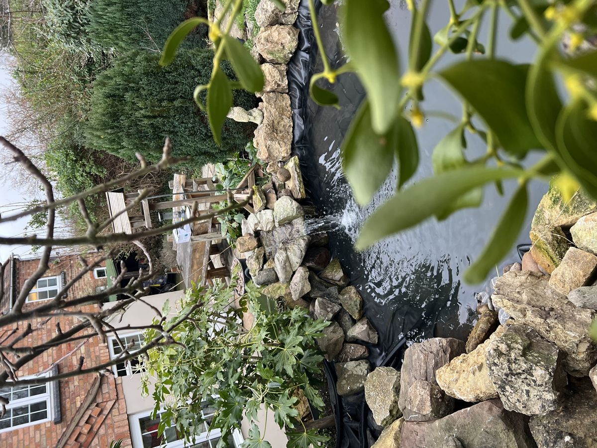 Garden pond build, Cropthorne Gloucestershire - after