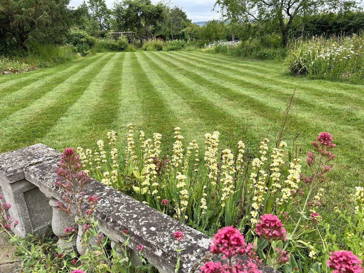Country garden lawn, Bourton-on-the-Water - after