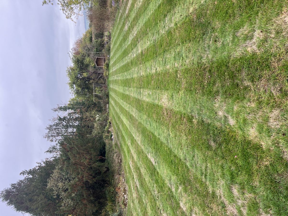 Country garden lawn, Bourton-on-the-Water - before