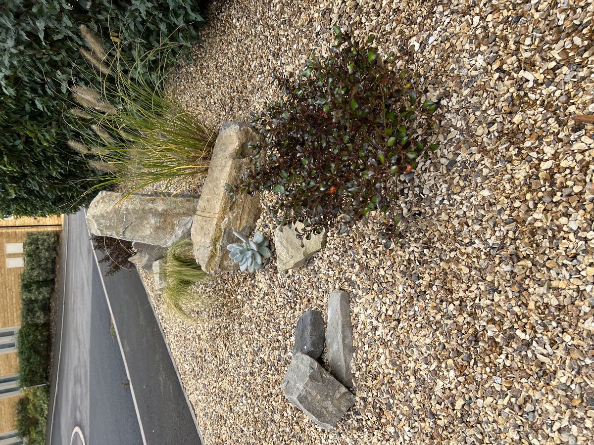 Gravel rockery border - after