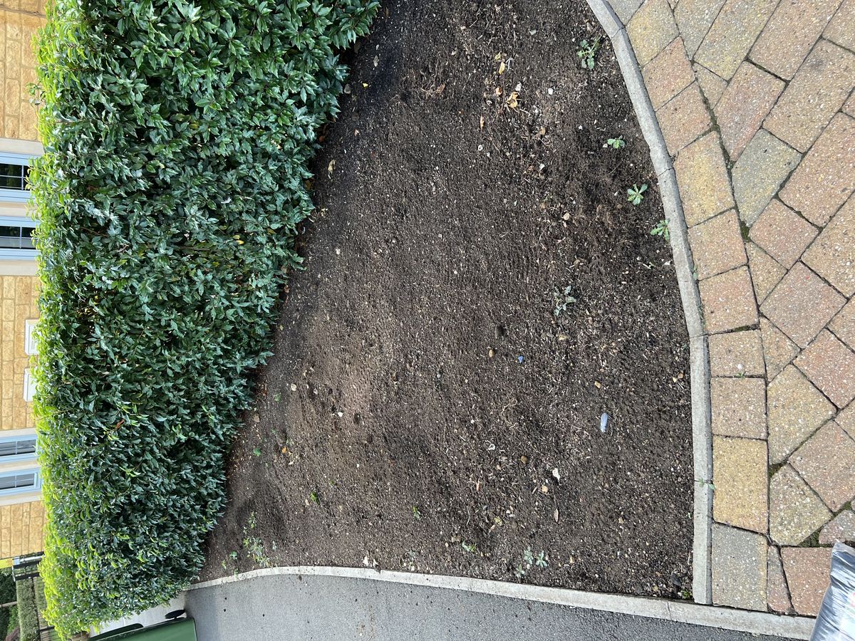 Gravel rockery border - before