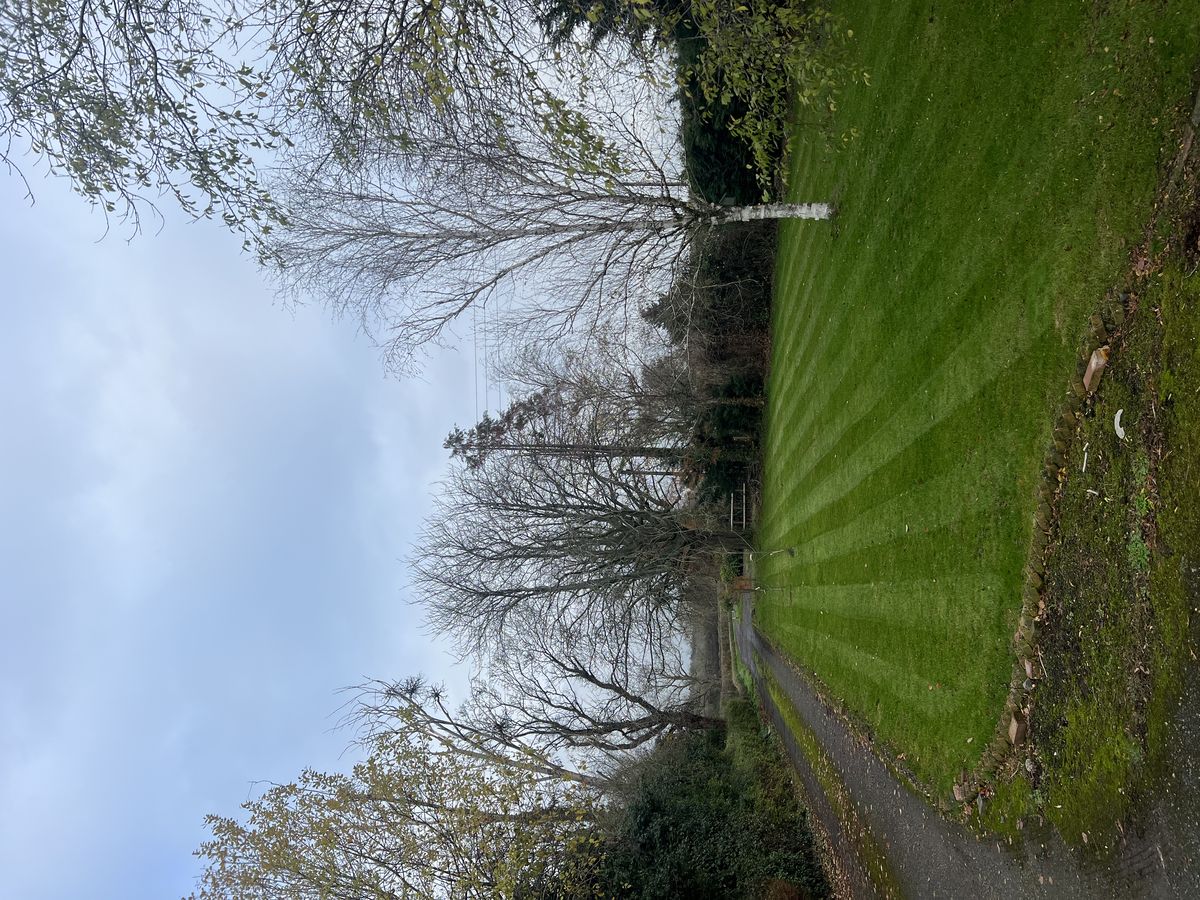 Full lawn renovation - after