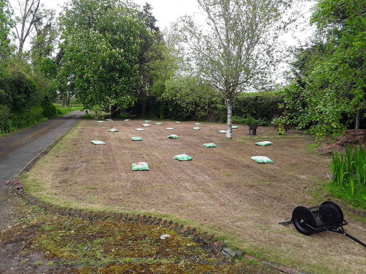 Full lawn renovation - before