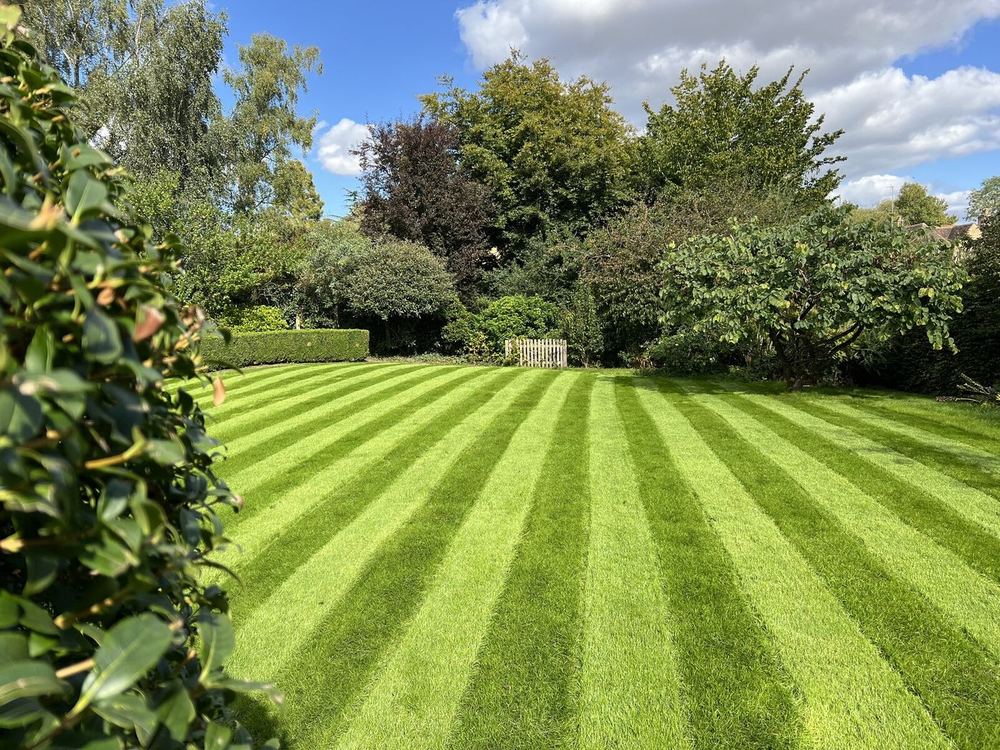 Striped Estate Lawn