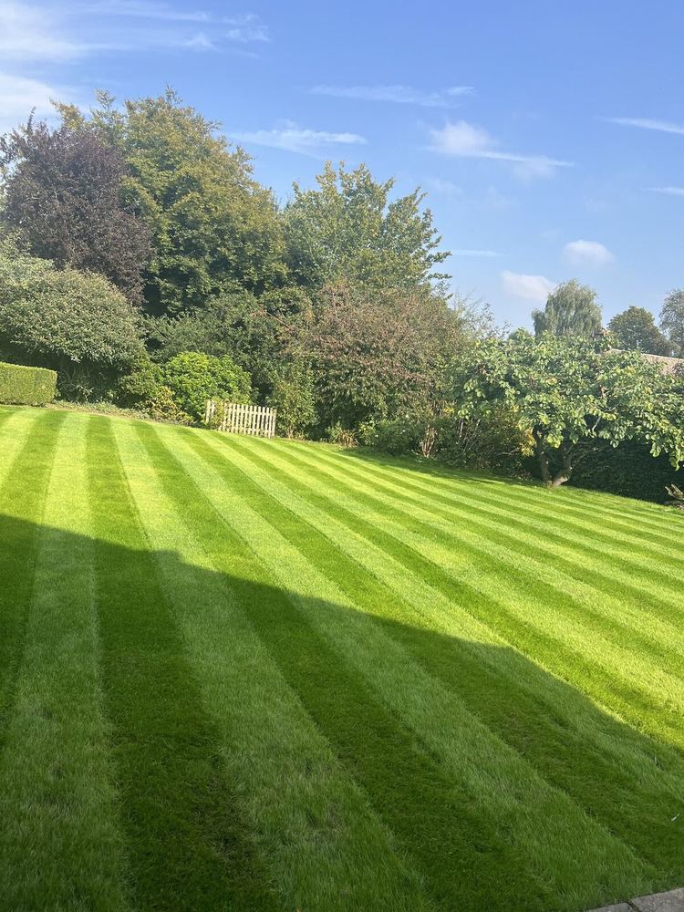 Manicured Stripes