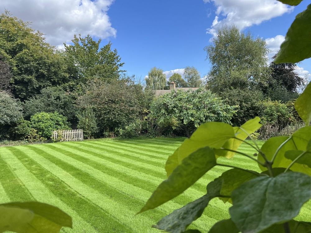 Country Garden Lawn