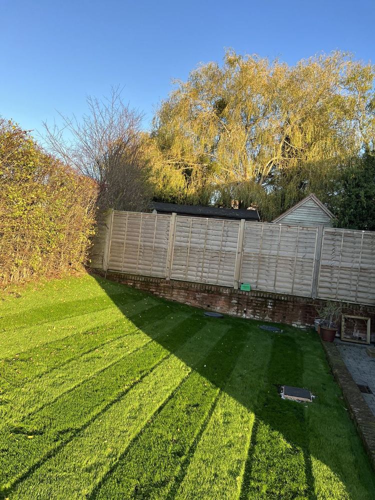 Golden Hour Lawn