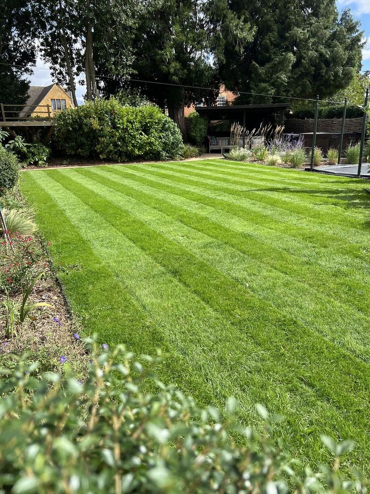 Striped Rear Lawn