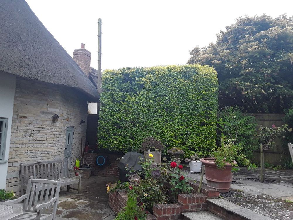 Cotswold Cottage Garden