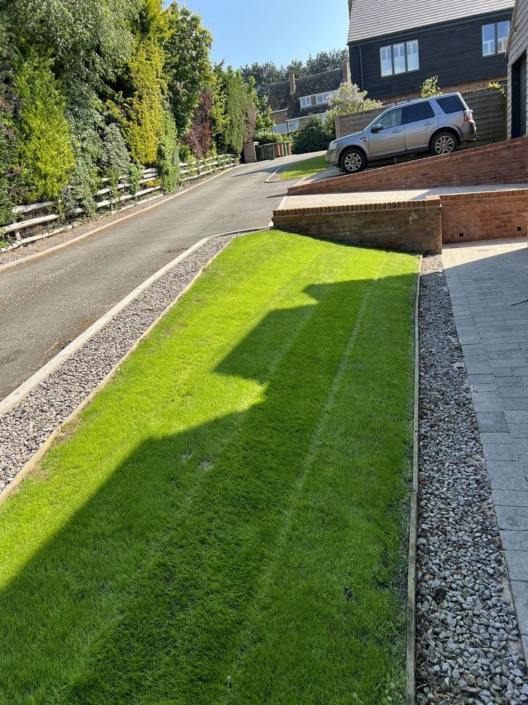 Lawn & Pathway
