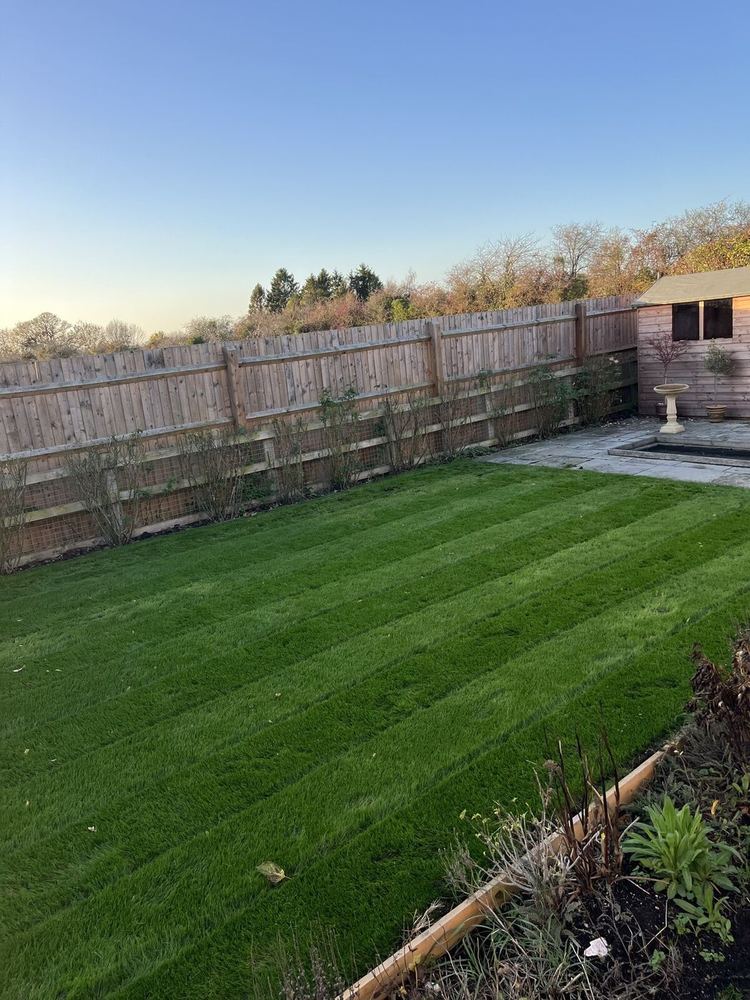 Evening Lawn