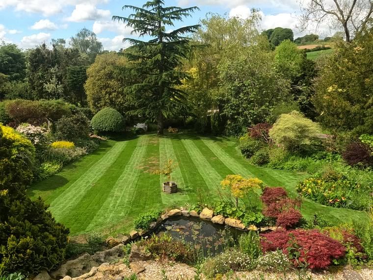 Striped Front Lawn