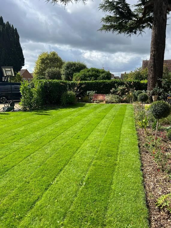 Crisp Lawn Stripes