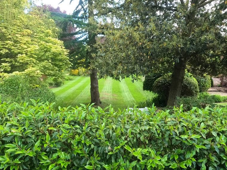 Sweeping Lawn & Pond