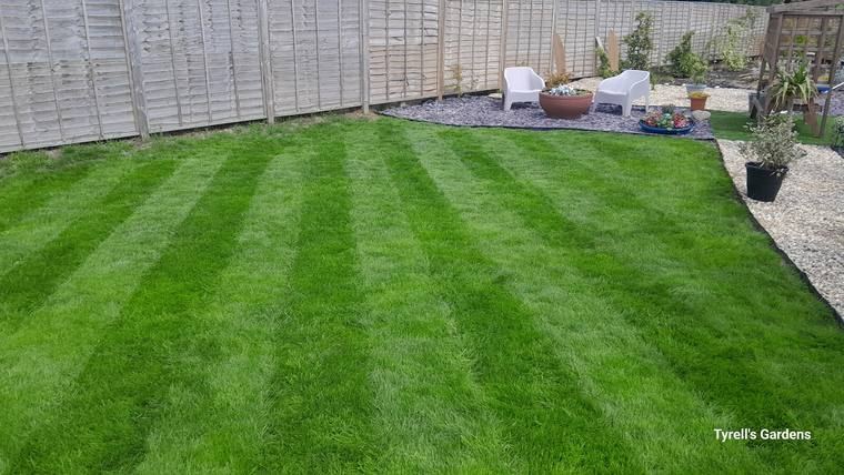 Manicured Stripes