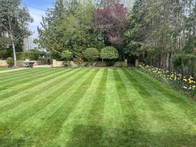 Long Striped Lawn