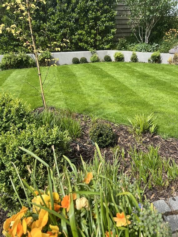 Lawn & Raised Beds