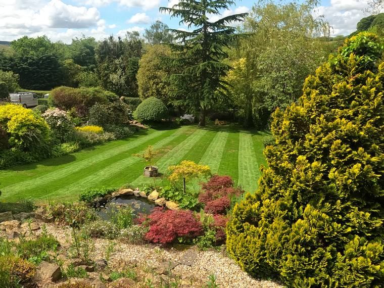 Pond Garden Lawn